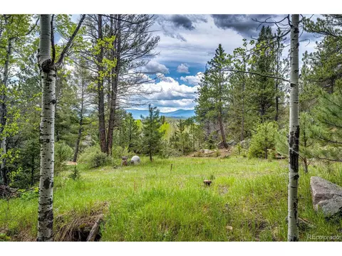 12346 Bear Haven Rd, Conifer, CO 80433 photo 2