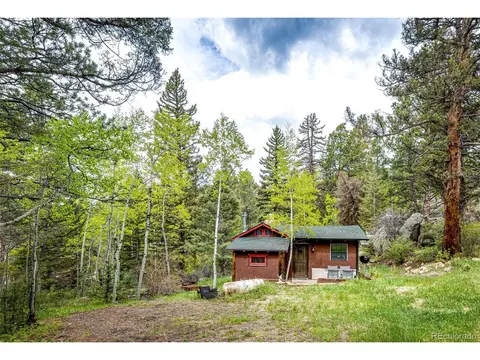 12346 Bear Haven Rd, Conifer, CO 80433 photo 28