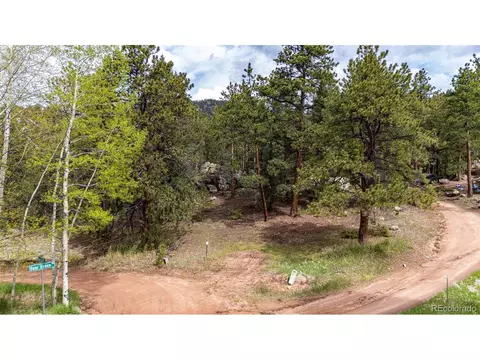 12346 Bear Haven Rd, Conifer, CO 80433 photo 8