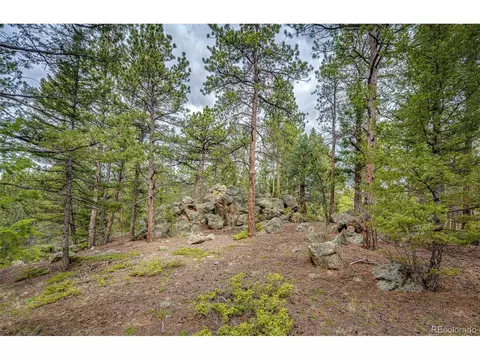 12346 Bear Haven Rd, Conifer, CO 80433 photo 23