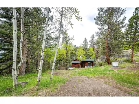 12346 Bear Haven Rd, Conifer, CO 80433 photo 6