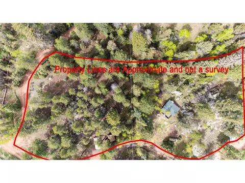 12346 Bear Haven Rd, Conifer, CO 80433 photo 7