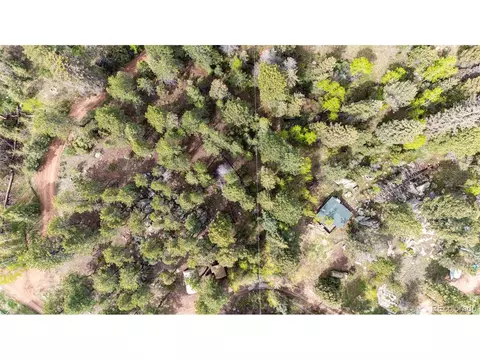 12346 Bear Haven Rd, Conifer, CO 80433 photo 12