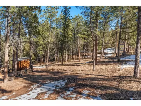 186 Territory Dr, Pine, CO 80470 photo 25