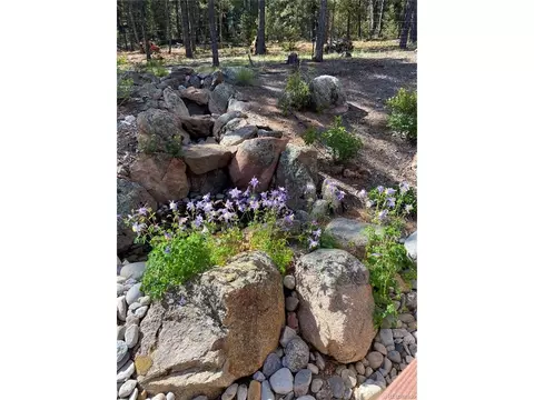 186 Territory Dr, Pine, CO 80470 photo 39