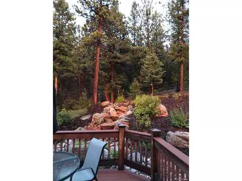 186 Territory Dr, Pine, CO 80470 photo 37
