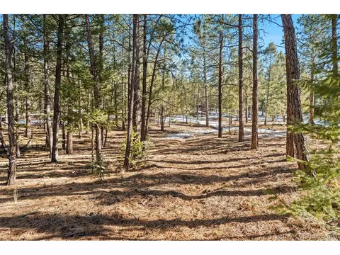 186 Territory Dr, Pine, CO 80470 photo 27