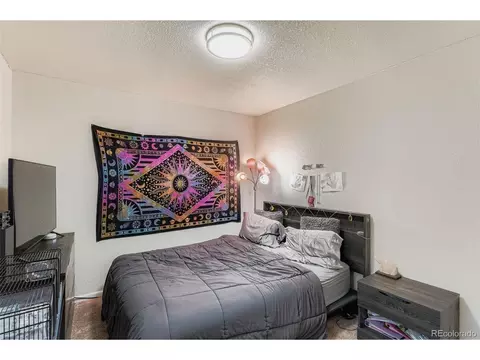 47385 Lily Ave, Bennett, CO 80102 photo 22
