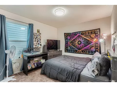 47385 Lily Ave, Bennett, CO 80102 photo 20
