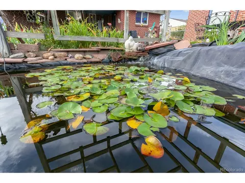 6849 W 53rd Ave, Arvada, CO 80002 photo 23