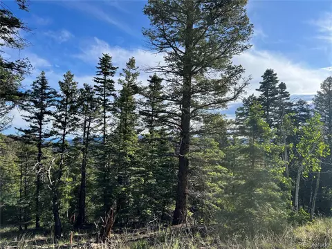 1580 Junkins Loop, Westcliffe, CO 81252 photo 3