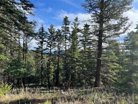 1580 Junkins Loop, Westcliffe, CO 81252 photo 2