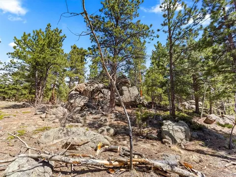 824 P69, Bailey, CO 80421 photo 21