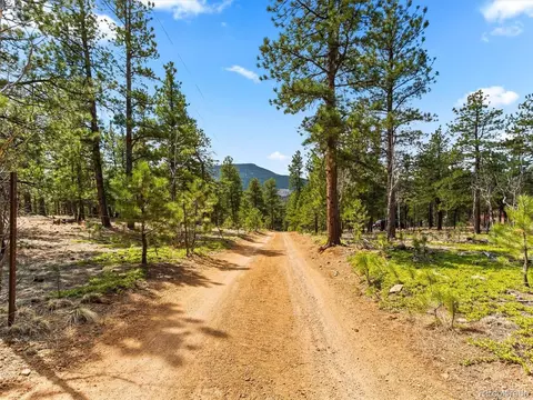 824 P69, Bailey, CO 80421 photo 22