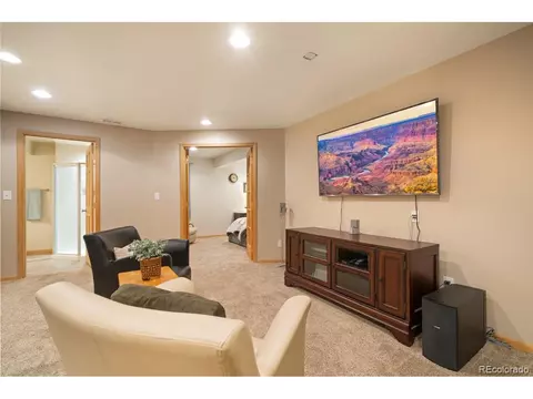 855 Amber Ct, Windsor, CO 80550 photo 19