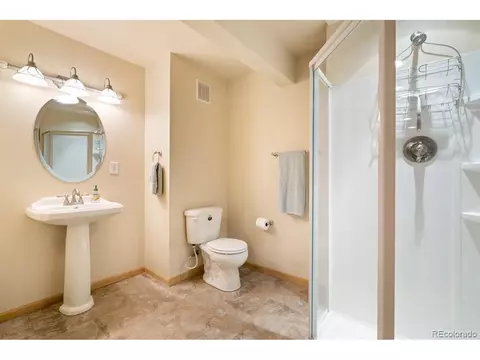 855 Amber Ct, Windsor, CO 80550 photo 24