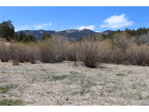189 Moore St, Bailey, CO 80421