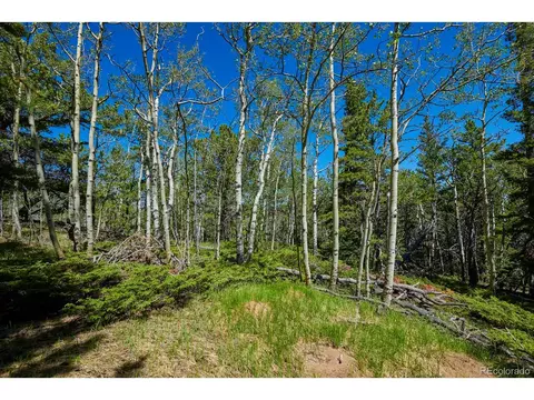 0 Rangeview Dr, Black Hawk, CO 80422 photo 19