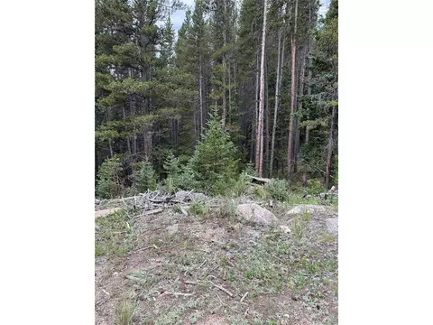 179 Mine Rd, Idaho Springs, CO 80452