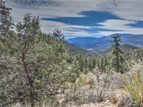 1913 S Ridge Rd, Bailey, CO 80421 photo 33