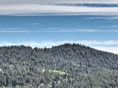 1913 S Ridge Rd, Bailey, CO 80421 photo 13