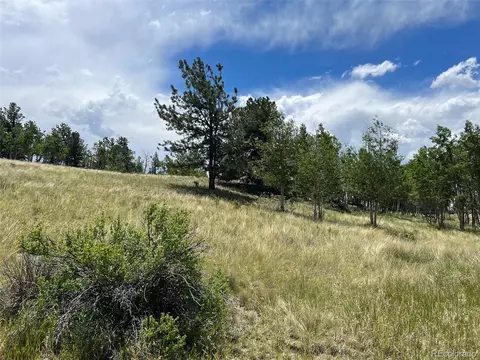 338 Topaz Rd, Lake George, CO 80827