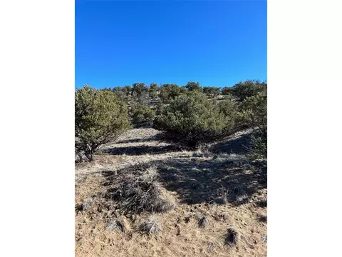 0 Apache Ln, Salida, CO 81201 photo 6