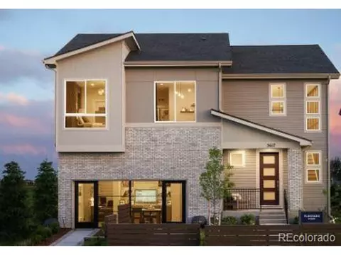 704 Simmental Loop, Castle Rock, CO 80104