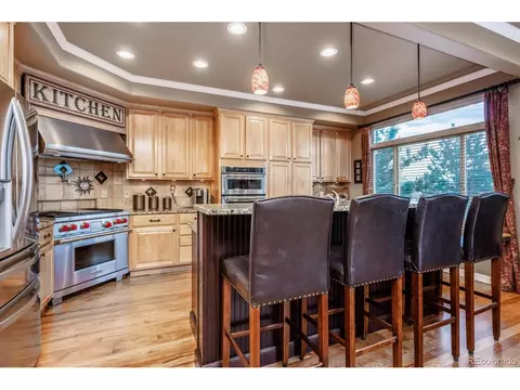 16695 Red Cliff Cir, Morrison, CO 80465 photo 8