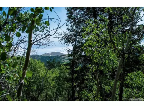1112 Quartzville Rd, Alma, CO 80420