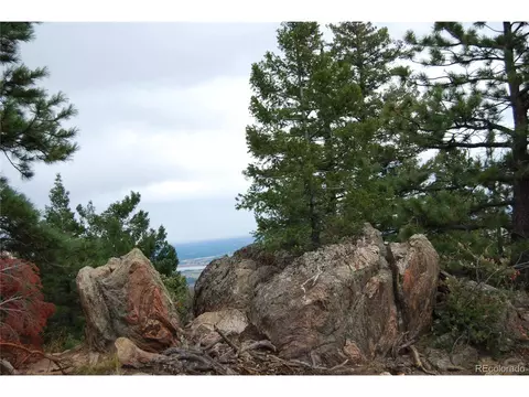 13927 Dancing Bear Trl, Littleton, CO 80127