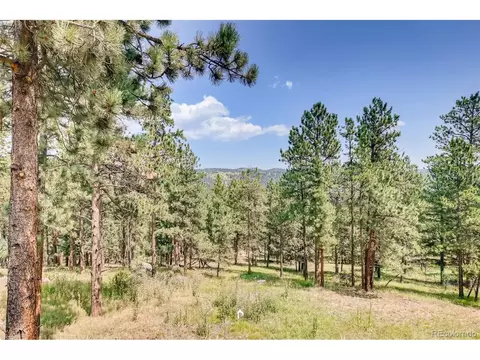 Undisclosed, Bailey, CO 80421 photo 28