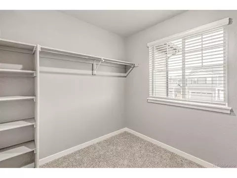 220 Haymaker Ln, Severance, CO 80550 photo 23