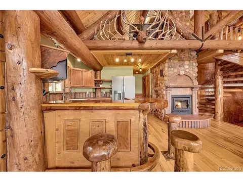 29462 High Rd, Pine, CO 80470 photo 21