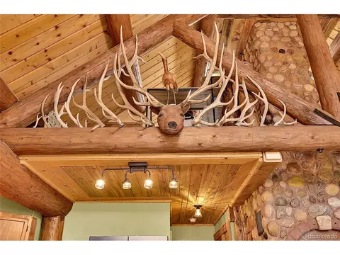 29462 High Rd, Pine, CO 80470 photo 22