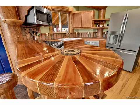 29462 High Rd, Pine, CO 80470 photo 20