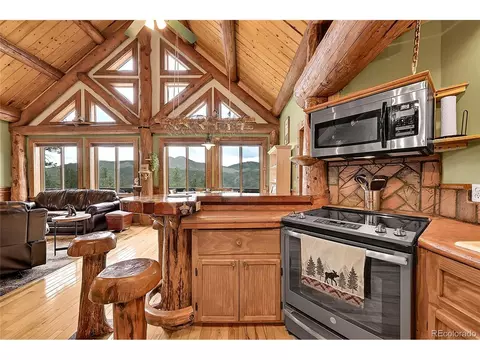 29462 High Rd, Pine, CO 80470 photo 17