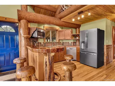 29462 High Rd, Pine, CO 80470 photo 19