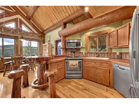 29462 High Rd, Pine, CO 80470 photo 18