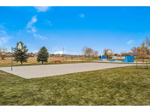 1261 Baker Pass St, Severance, CO 80546 photo 33