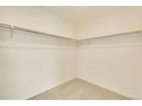 1261 Baker Pass St, Severance, CO 80546 photo 28