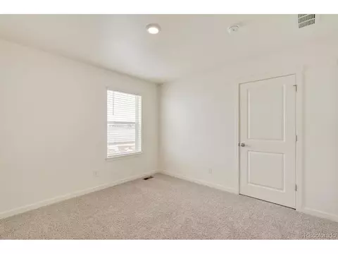 1261 Baker Pass St, Severance, CO 80546 photo 22