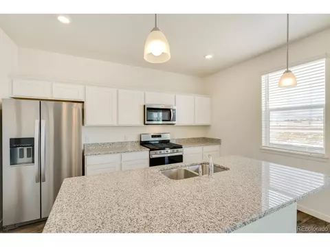 1261 Baker Pass St, Severance, CO 80546 photo 6