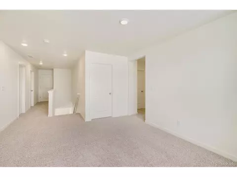 1261 Baker Pass St, Severance, CO 80546 photo 17