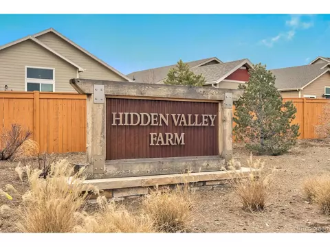 1261 Baker Pass St, Severance, CO 80546 photo 30