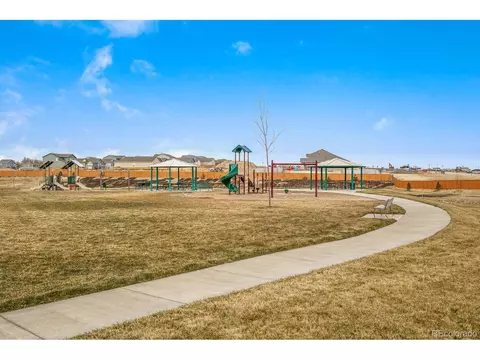 1261 Baker Pass St, Severance, CO 80546 photo 32