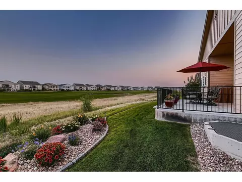 7976 E 149th Pl, Thornton, CO 80602 photo 45