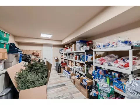 7976 E 149th Pl, Thornton, CO 80602 photo 40