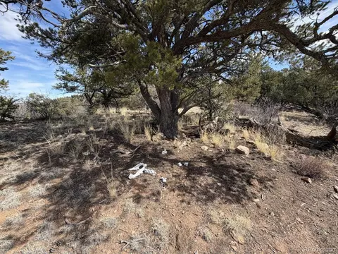 0 Redtail Trl, Texas Creek, CO 81223 photo 8
