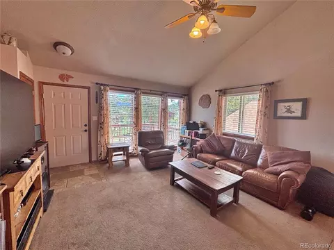 Other - 17 Silver Springs Rd, Bailey, CO 80421 photo 2 of 16